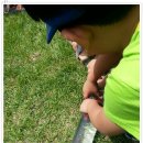 수림유치원 이미지