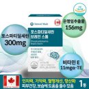 브레인스톰 이미지