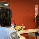 수원시 장안구 조원로41번길 (조원동) | 조원동꽃집 "헬렌플레르" 꽃다발 후기 및 추천