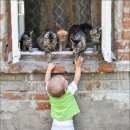 아마겟돈 이미지