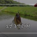 동막낚시터 이미지