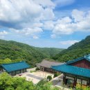 울산 신흥사 석조아미타여래좌상 | 울산 신흥사의 보물 석조아미타여래좌상 아름다움