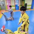 용인대 시선 태권도장 이미지