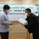 영일고등학교 Daum카페