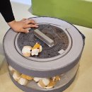 🍁 “도토리를 찾아 떠난 작은 용기 이야기” 이미지