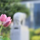 6748, 冥想명상. 이미지