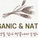 땅끝황토 이미지