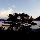 바다솔정원펜션 이미지