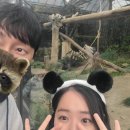 유웅슈퍼 이미지