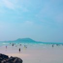 협재올레 이미지