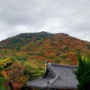 범어사 - 1635 | 범어사
