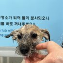 뭉스파 이미지