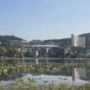 보통리 저수지 1 이미지