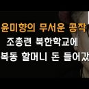 윤미향의 무서운 공작, 조총련 북한학교에 김복동 할머니 돈 들어갔다. 이미지