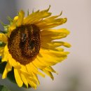 하소약수터 이미지