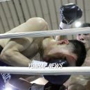 성남권투 이미지