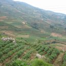 디엥 고원 ( Dieng Plateau) 이미지