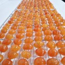 마산-중앙-중앙센터-14 이미지