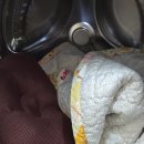 OK세탁 | 👉 친환경세탁세제 찾는다면? 아기세탁세제까지 OK, 지구 알칼리 캡슐세제 솔직 후기 🌍✨