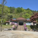 동막골캠프 이미지