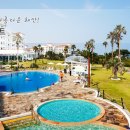 금호리조트(주)제주 이미지