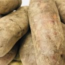 합심농장 이미지