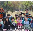 장명자 | 숲해설가 장명자 기자님의 손주들에게 들려주는 개미가족 이야기