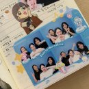 묘묘 고양이 미용실 | 무르익어가는 여름의 중간에서