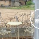 (유성-136) 이미지