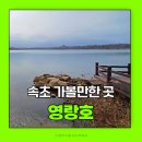 속초사잇길 제4길 | 속초여행 속초가볼만한곳 영랑호 속초사잇길 영랑호길