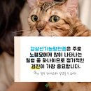 곤지암 동물병원 이미지