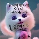 *아침 편지함(11월16일)*인사말 모음* 이미지