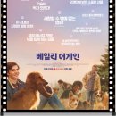 허그도그 | A Dog&#39;s Purpose, 2017)』영화 리뷰- 견생 4회차 인생선배의 빅허그, 정보, 줄거리, 결말,명대사,관람평