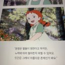 빨강머리 앤 헤어