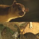 김재윤농장 이미지