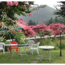 울진 숲속에 산장 펜션 이미지