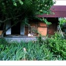 고성리산양목장 이미지