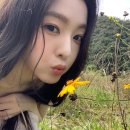 아이린 카카오 검색결과