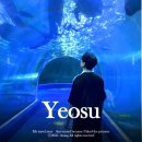 상어 | 여수 아쿠아플라넷 입장료 할인, 벨루가 상어 관람 후기