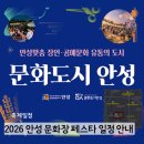 안성시 아양도서관 | 2026 안성 문화장 페스타 일정ㅣ10cm 테이 공연, 주차 꿀팁
