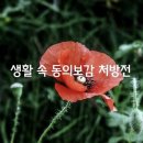 💯생활 속 동의보감 처방전💯 이미지