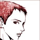 파라키스 이미지