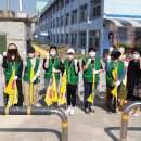 선진초등학교 이미지