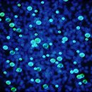 보건환경연구원 본관 이미지