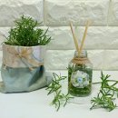 로즈마리숲 이미지