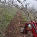 금월농장 이미지