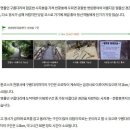 월출산 가을 단풍 산행에 함께 가세요 10월 16일 영종 백운 산악회 정기 산행! 이미지