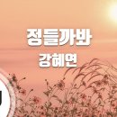 Tj미디어노래방 정들까봐 유튜브 이미지