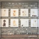 포포앤미루 강동점 이미지