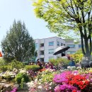 새봄요양병원 이미지